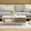 Aubrie Four Leg Coffee Table with Storage-2137425654