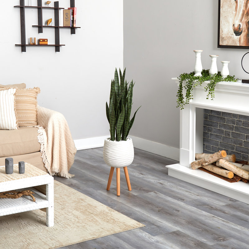 Jardinière Sansevieria, H 46 po x l 13 po x P 13 po, Vert