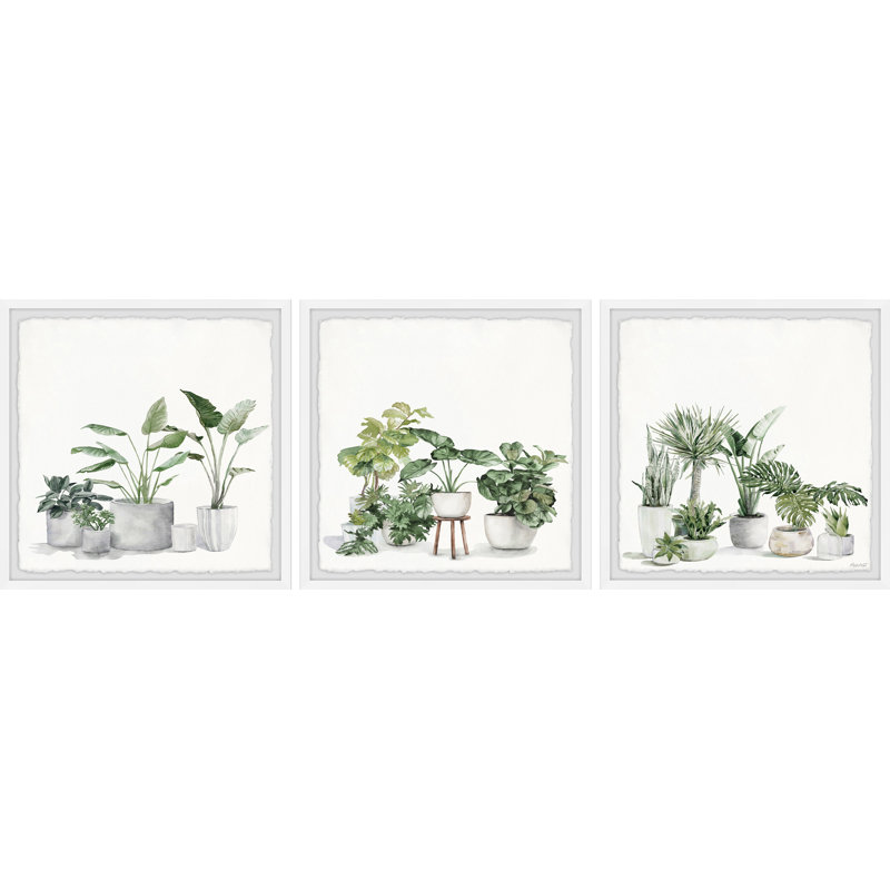 Collection de plantes par Marmont Hill - ensemble de 3 cadres photo, H 12 po x l 12 po x P 1,5 po