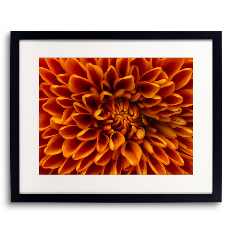 Orange par Harold Davis - photographie, Papier avec cadre noir, H 17,25 po x l 21,25 po