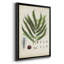 Collection Ferns III - reproduction d'art sur toile encadrée-34410538-34410539