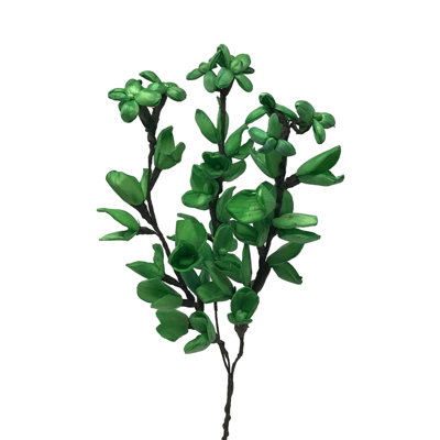 Entrada Arrangement
