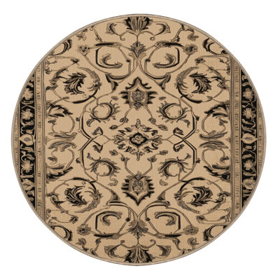Machine Washable French Brown Area Rug
