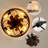 Arachne 19.6'' Farmhouse Reversible Ceiling Fan with Light Kit and Remote Control 6 Speeds Timer for Bedroom-88308908-98089885