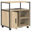 Storage Cabinet-1984504643