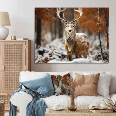 Deer Graceful Deer sur toile