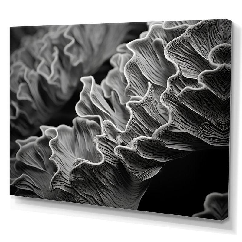 Impression sur toile «Black and White Coral Anemone», plage et océan, Toile tendue, H 12 po x l 20 po x P 1 po