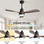 Ceiling Fan with LED Lights