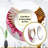 Arnould Dusty Pink Angel Wings - Abstract Wall Mirror, Modern Round Decorative Mirror, Printed Metal Art-1940473075