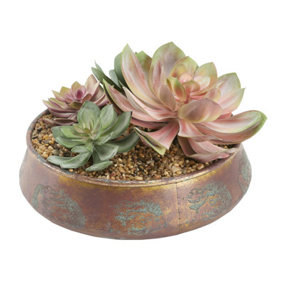 Assortiment de pots de fleurs ronds en métal Echeveria