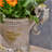 DELPHINE URN-730722543