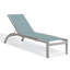 Argento Outdoor Chaise Lounge-219756456