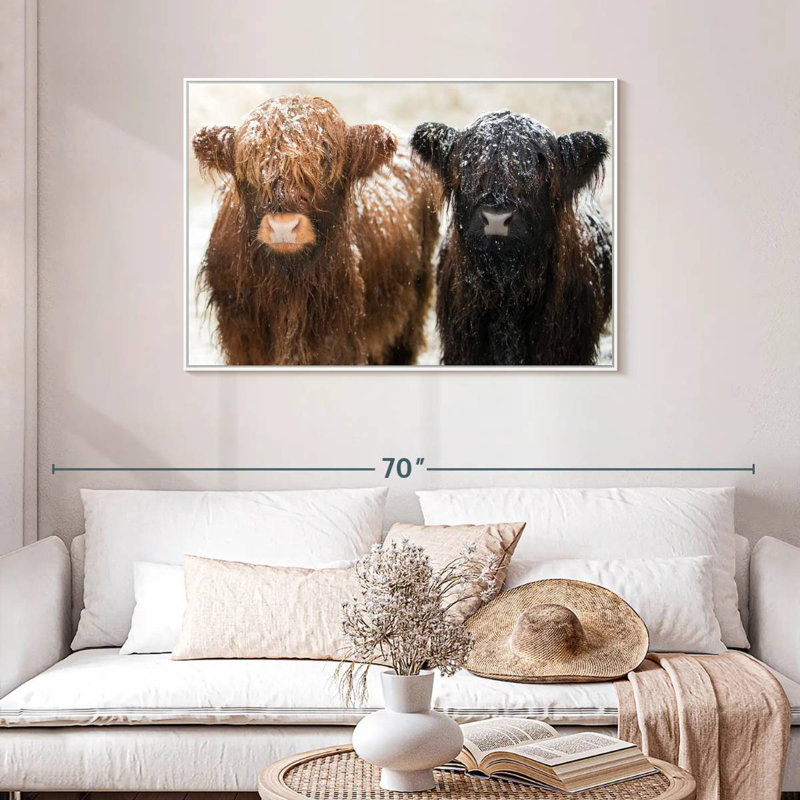 Poilu Highland Cows, Cadre flottant blanc, 43 po x 29 po