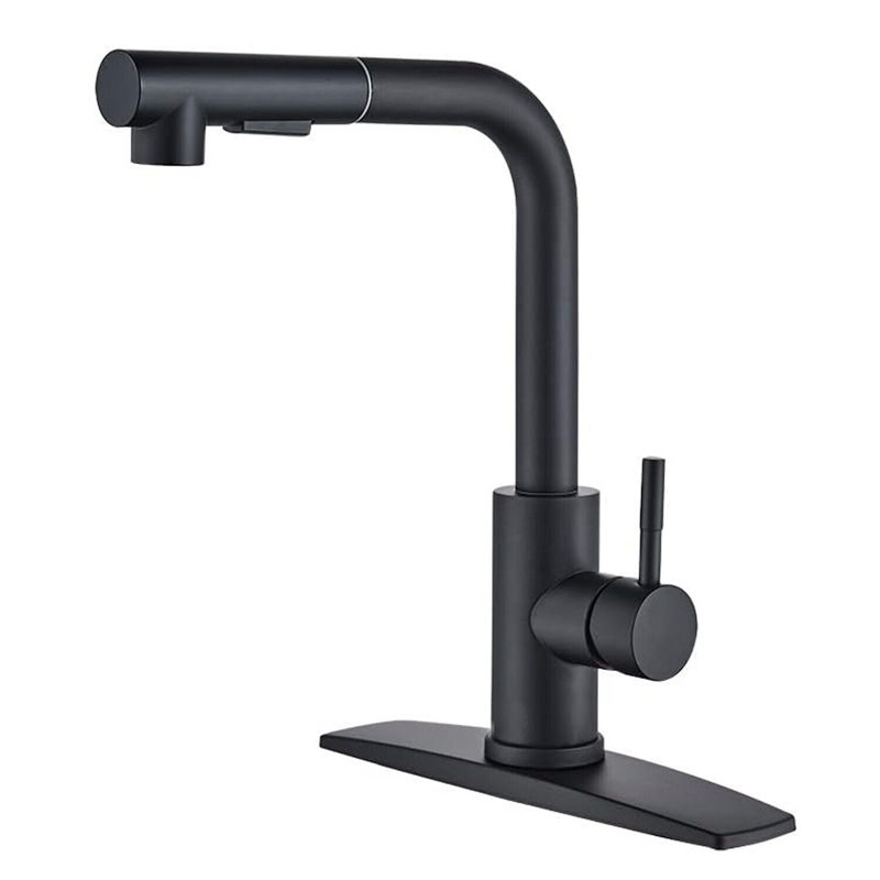 Senlesen Pull Out Kitchen Faucet