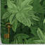 Green Hedge Garden Wallpaper