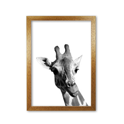 Giraffe - Print