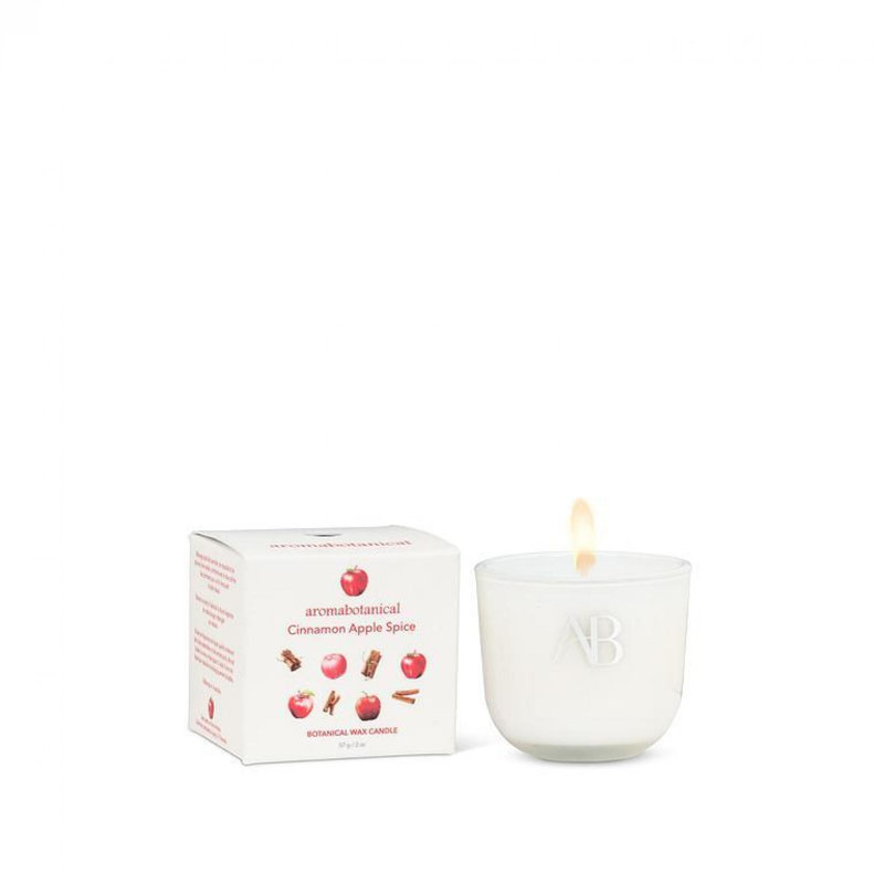 Bougie 6 oz à la cannelle et aux épices, 2 Oz