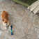 Laleia Washable Oriental Indoor Rug