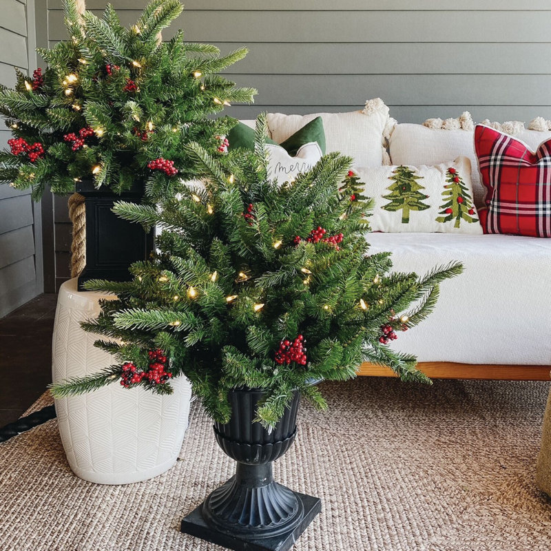 Fraser Hill Farm 2-Ft. Porch Tree in Black Pot with Red Berries and Warm White Lights, 24' H