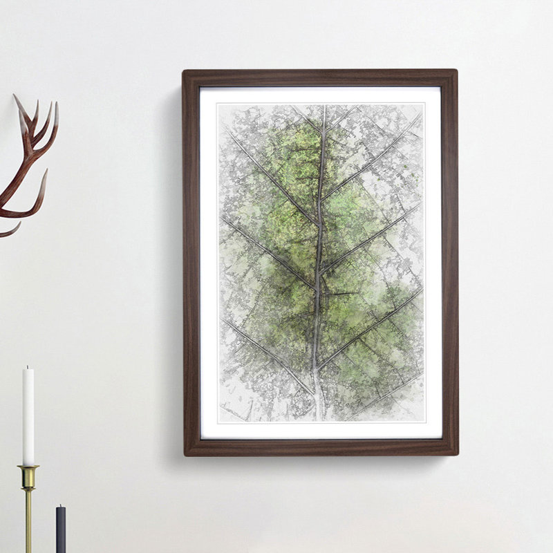 Leaf Lines in Abstract - Picture Frame Graphic Art Print, Walnut Framed, 65cm H x 48cm W x 2cm D