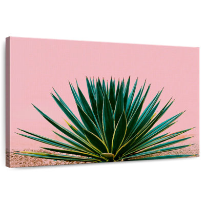 Harnek Contemporary Succulent