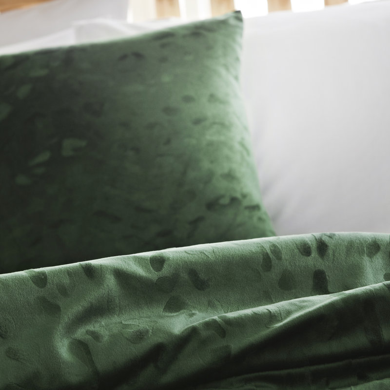 Cosmopolitan Velvet Touch Scatter Cushion, Green
