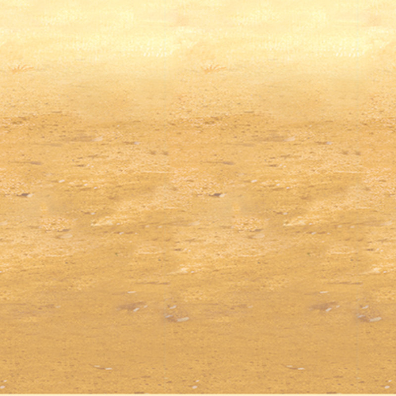 Toile de fond désert sable, 4 pi x 30 pi, paquet de 6