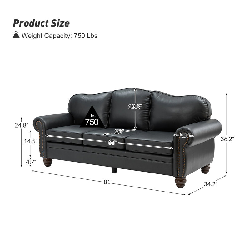 Damore 81'' Wide Genuine Leather Sofa, Black