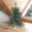 Anoka Pine 3.5' H Artificial Pine Christmas Tree