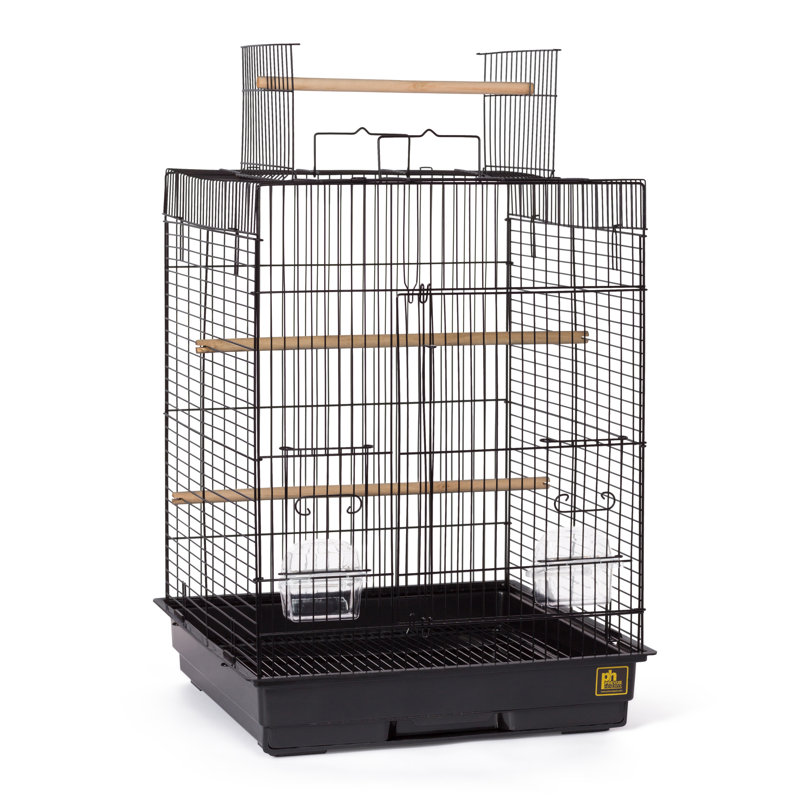 Chuhay 24'' Play Top Table Top Bird Cage with Perch, Black