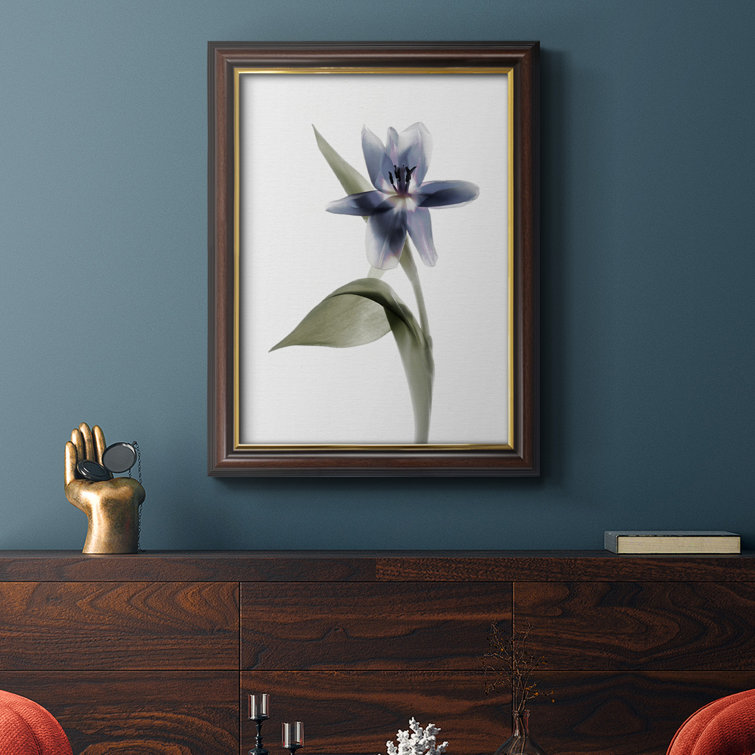 Red Barrel Studio® Xray Tulip VII Framed On Canvas Painting - Wayfair ...