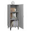 Hornell Accent Cabinet-924272104