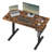 Height Adjustable Rectangle Standing Desk-1873151187-1873151214