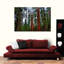 «Vibrant Redwood», reproduction sur toile-479248782
