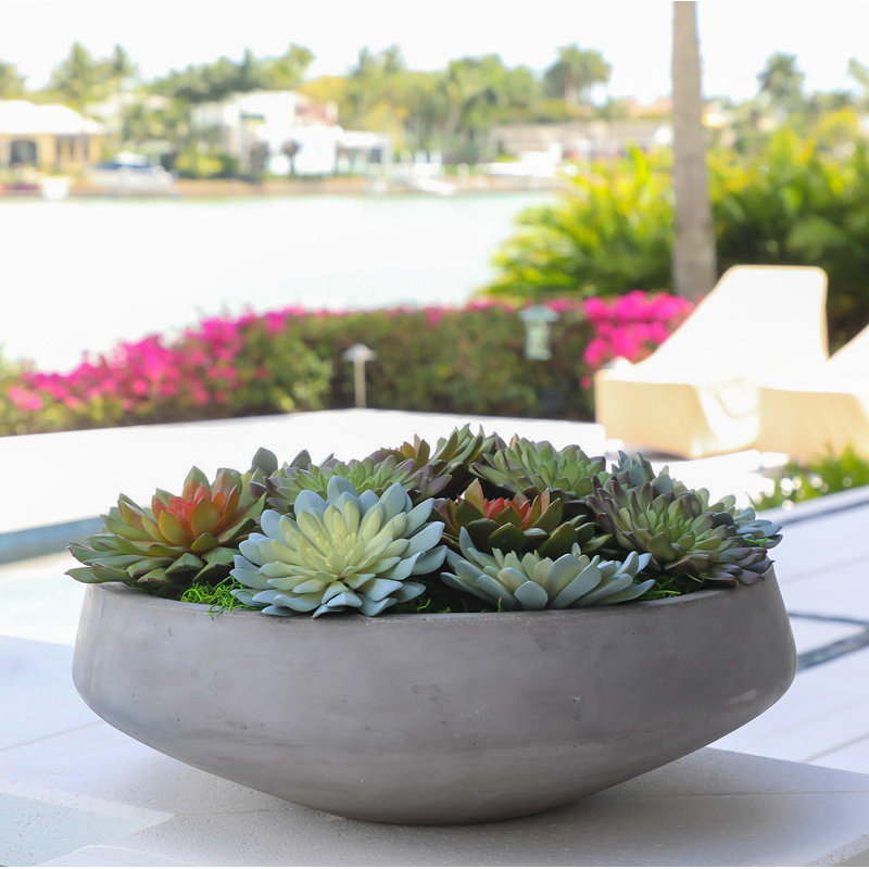 Plante succulent artificielle 2,00" en vase décoratif, H 7 po x l 3 po x P 13 po