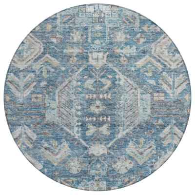 Machine Washable Indoor/Outdoor Jadiel ACN2356 Traditional Rug