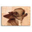 «Profile-Chihuahua» par Thomas Fluharty-2049822216