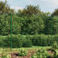 Ashvihan 200 cm H-1202933107-1202933102