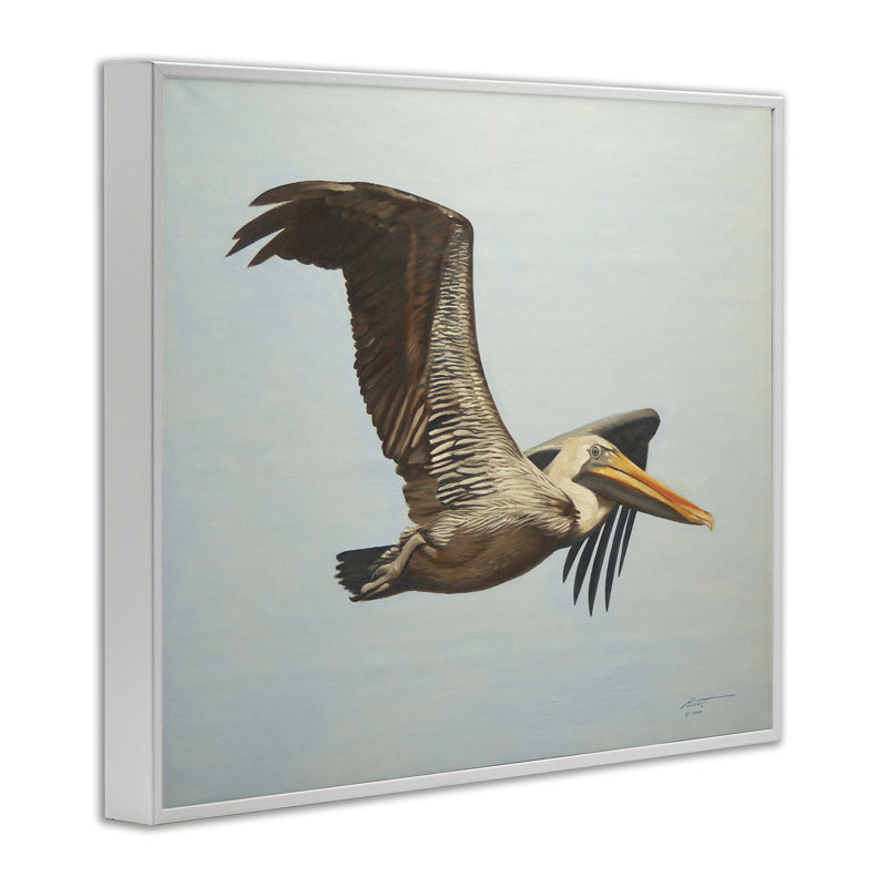 Pélican brun en vol, estampe numérique par D. Rust, H 11 po x l 14 po, Giclée encadrée blanc bord de mer