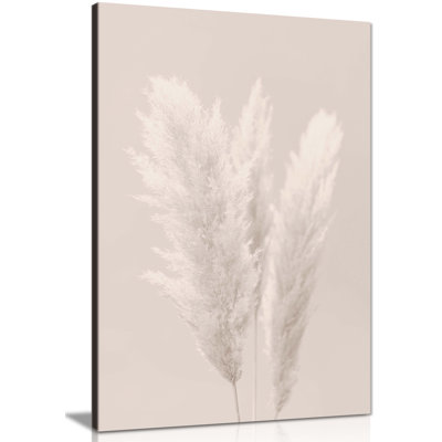 Pampas Grass - Wrapped Canvas Print