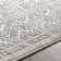 Oriental Indoor Rug