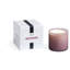 Midnight Cactus Classic Candle-1564760102