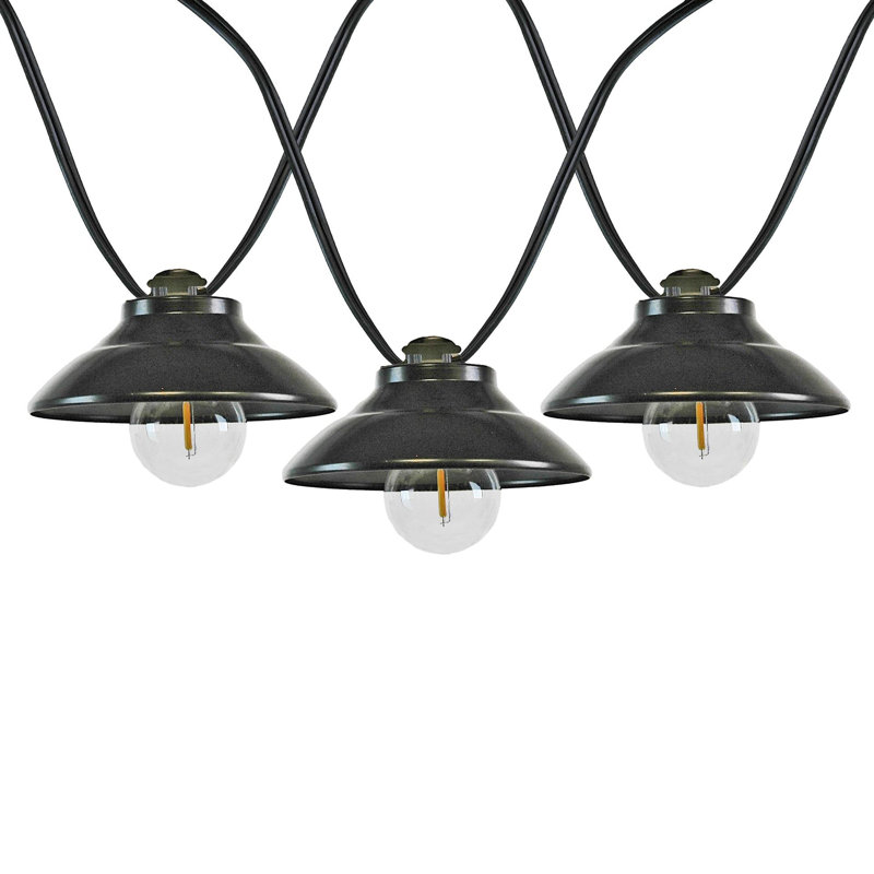 Doyne 10 - Bulb 11 in. Plug-in Globe LED