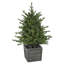 4' Pre-Lit Potted Deluxe Russian Pine Artificial Christmas Tree Warm White LED Lights