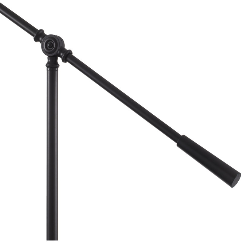 Earmon Floor Lamp, Black