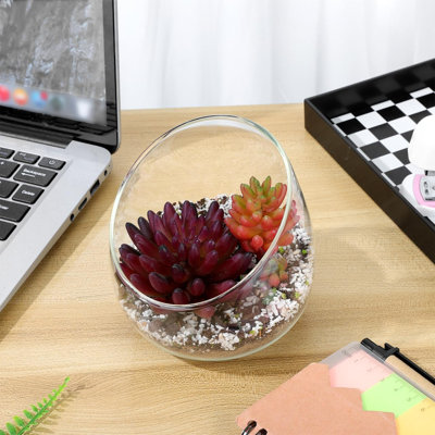 Glass Indoor Terrarium