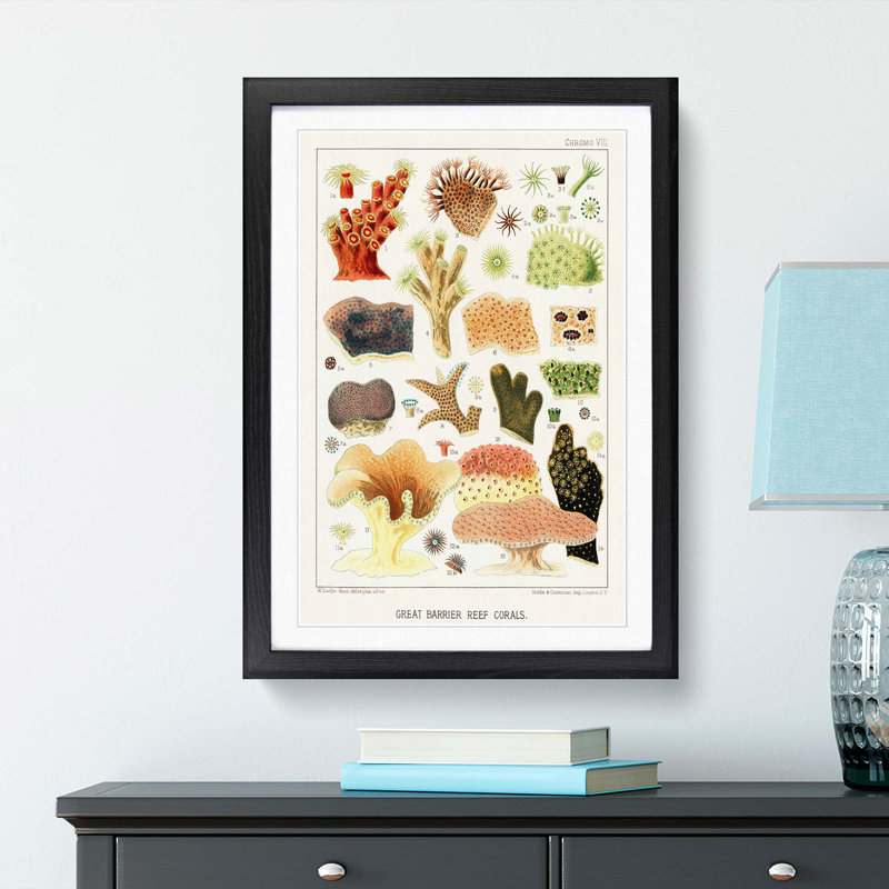Great Barrier Reef Corals VIII by W. Saville-Kent - Picture Frame Painting Print, Black Framed, 36cm H x 27cm W x 2cm D