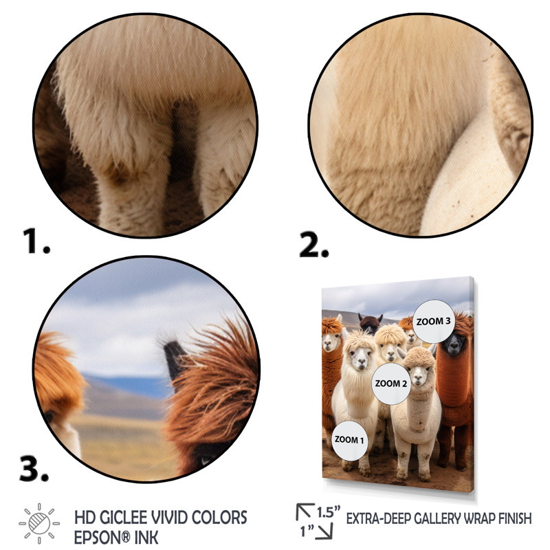 Alcapas Harmony Of Hues - Animals Canvas Art Print, H 40 po x l 30 po x P 1,5 po, Cadre photo noir