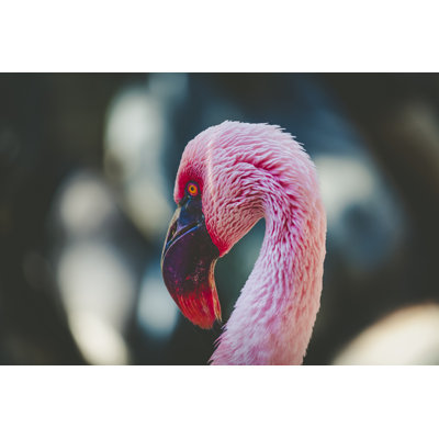 Pink Flamingo - Wrapped Canvas Print