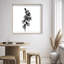 Ossified Petals II Shadowbox Floral & Botanical Print by Oliver Gal, Black Frame, 12 x 12-379226032-379226060